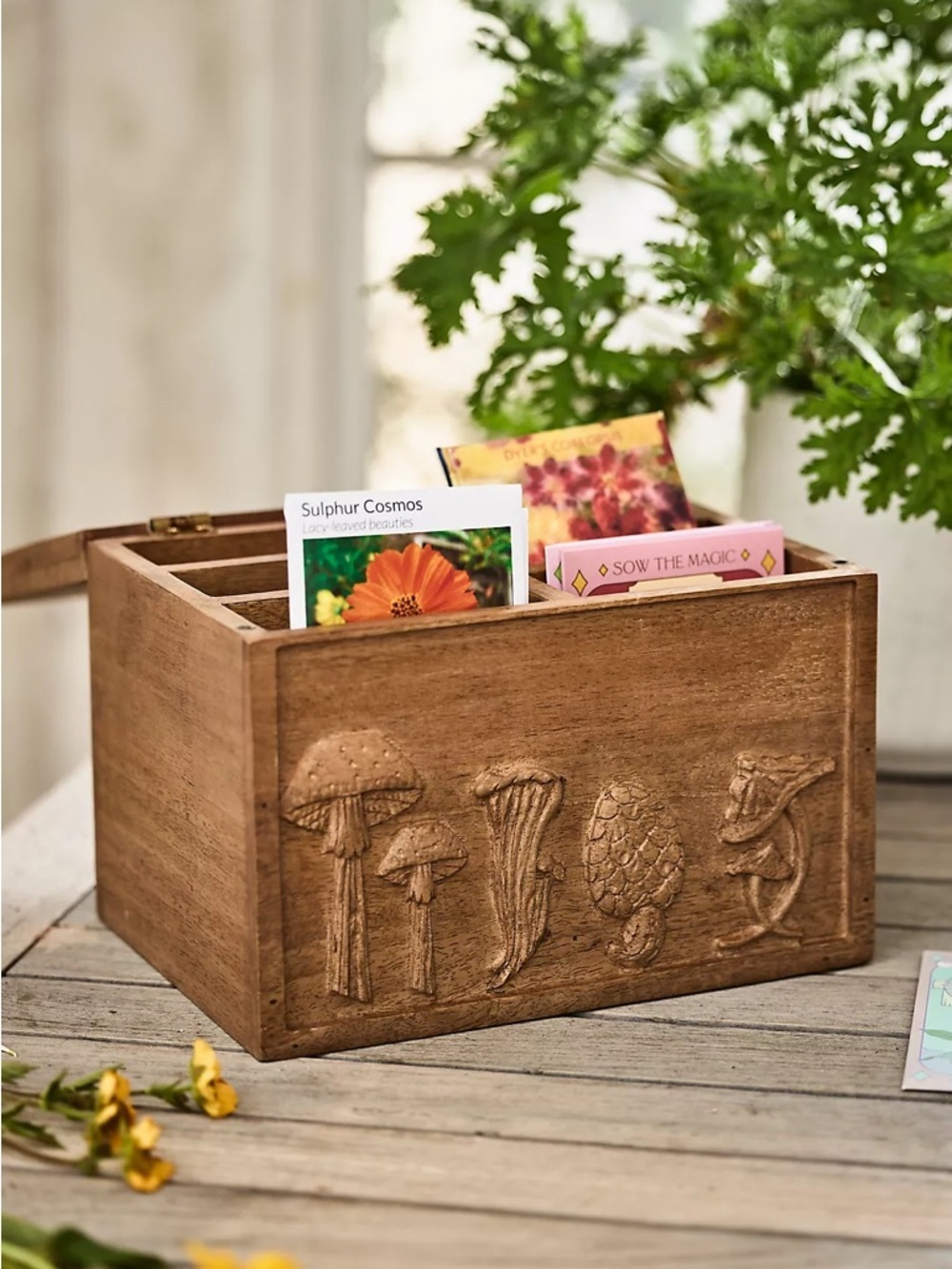 NWT Anthropologie Terrain Mushroom Seed Storage Box
